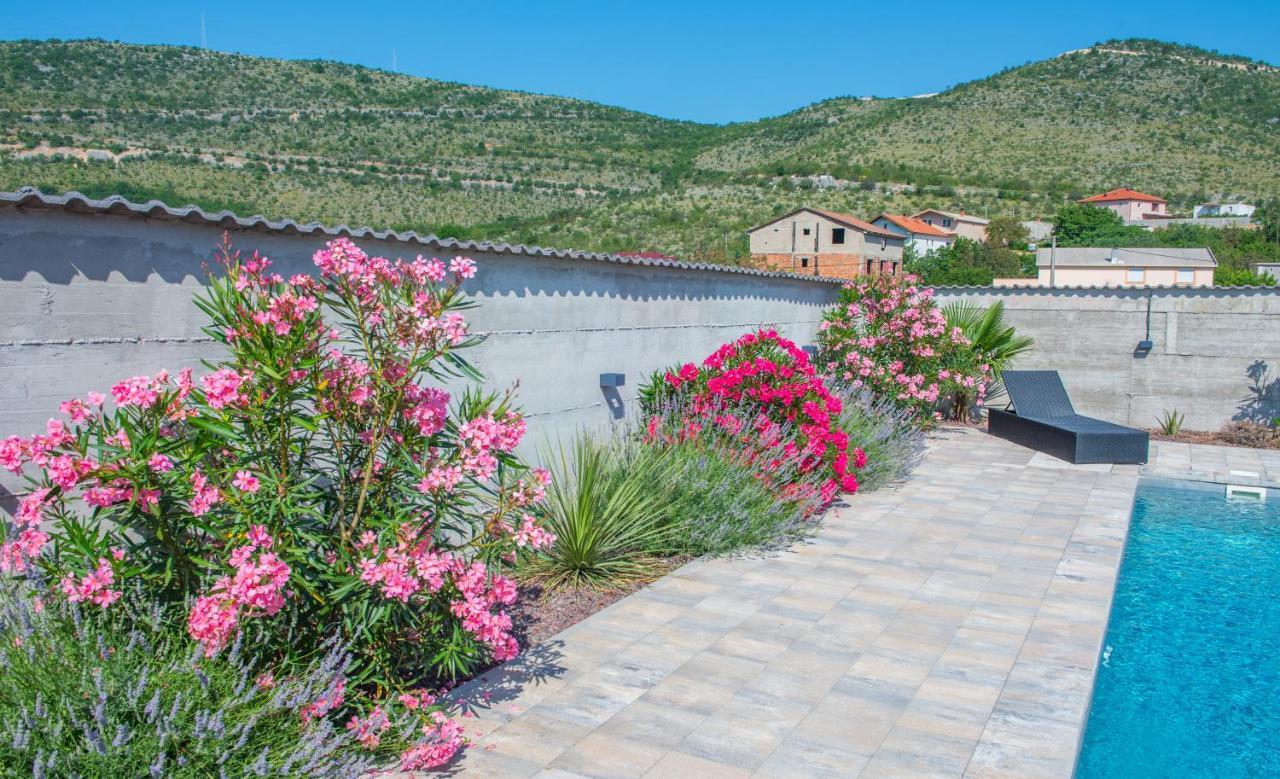 Villa Carpe Diem - With Private Pool Mostar Exteriör bild